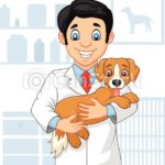 Matinée Ludothèque : Thème "Vétérinaire"