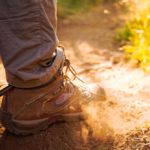 Randonnées moyennes