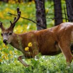 Matinée Ludothèque