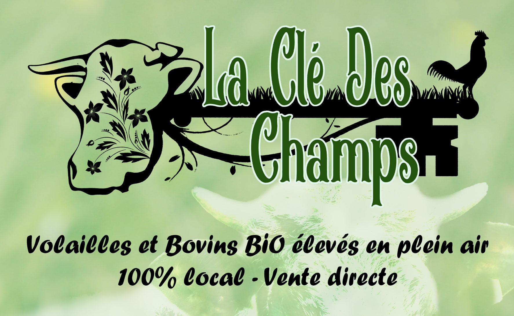 Volailles pour les fêtes