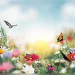 Atelier Ecocréa. Thème : "Le printemps".