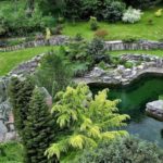 Visite du jardin Aquatique Acorus d' Autoreille