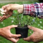 Troc Jardin de 10H00 à 12H00