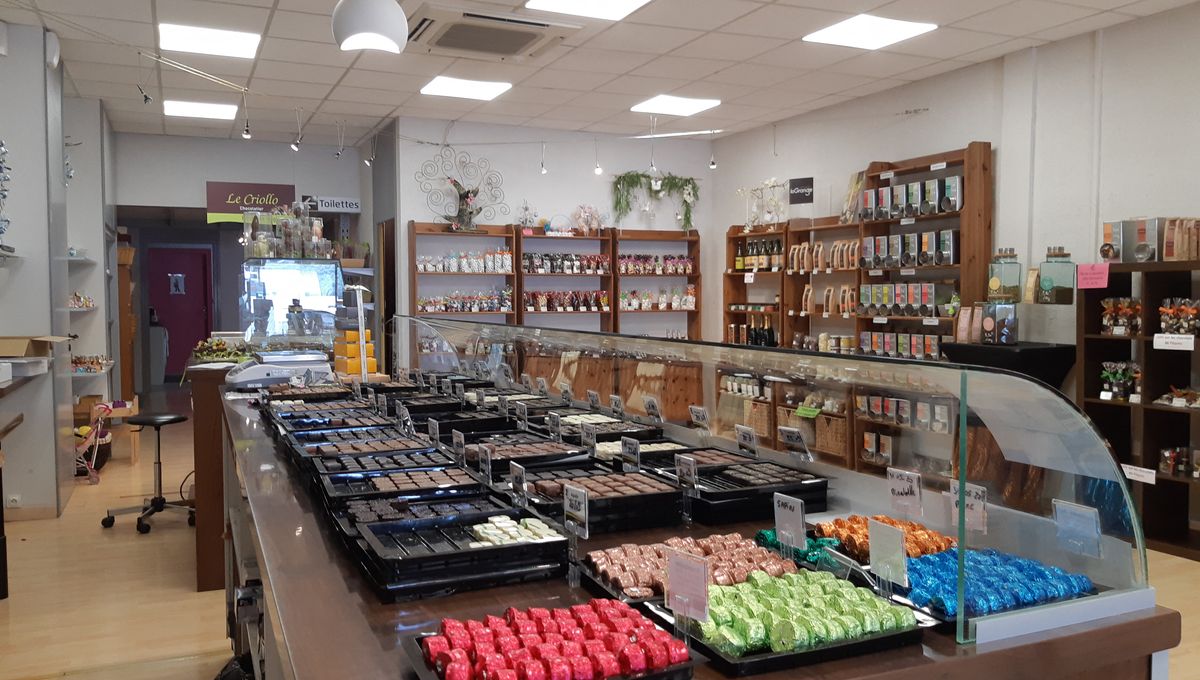 Visite de la chocolaterie "Le Criollo" à Chalezeule