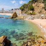 Art Floral de 10H30 à 12H00