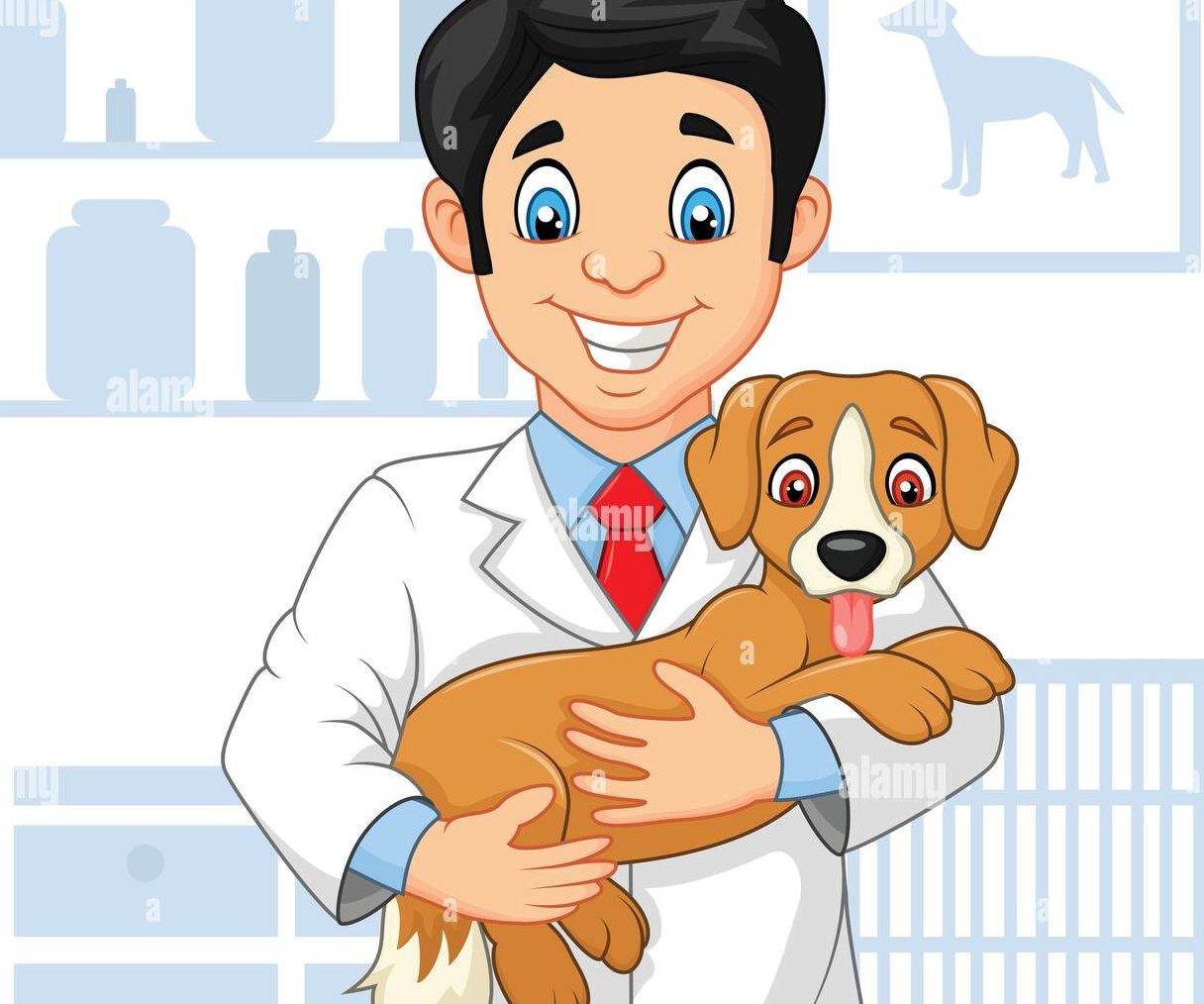 Matinée Ludothèque de 09H00 à 11H00. Thème du jour : "Le vétérinaire"