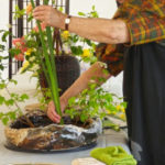 Art Floral de 10H30 à 12H00. Thème du jour : "Jardin Japonais"