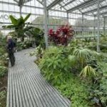 Visite du Biome à 15H00