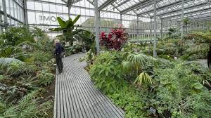 Visite du Biome à 15H00