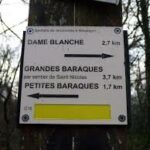 Randonnée moyenne et douce en commun à la journée