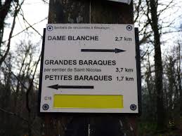 Randonnée moyenne et douce en commun à la journée