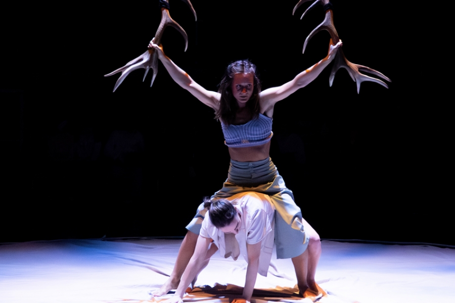 Faune au théâtre de l' Espace à 19H00